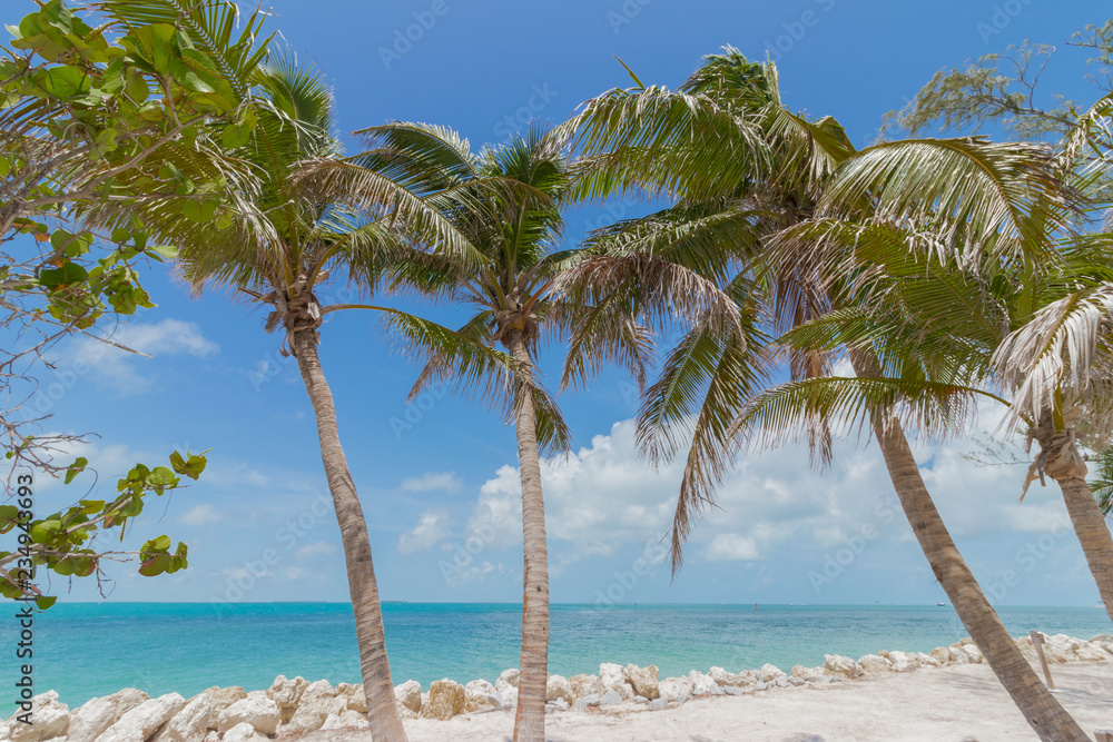 Naklejka premium key west