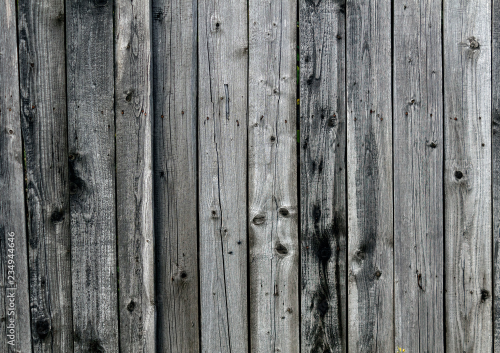 Fototapeta premium old wood texture background