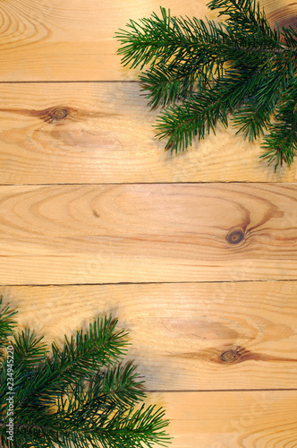 Christmas fir tree branch on wooden background. Xmas background concept