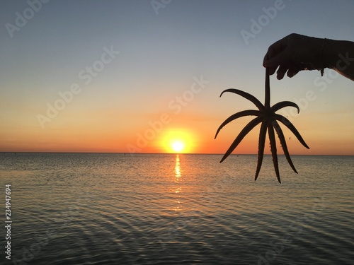 Starfish at sunset 