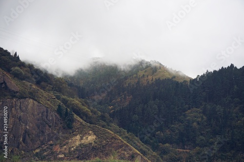 the mountain landscape