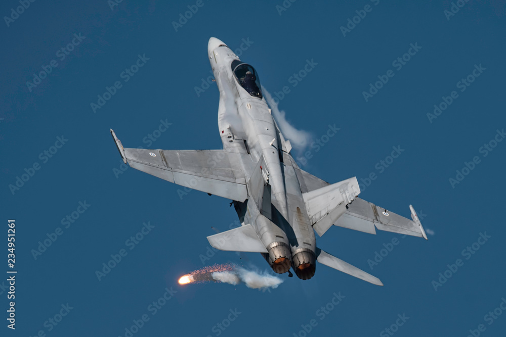 F/A-18 Hornet - obrazy, fototapety, plakaty 