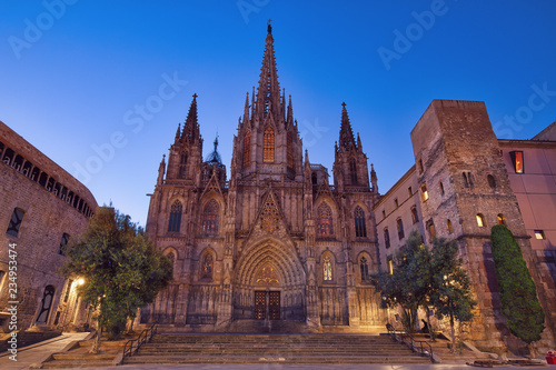 Barcelona cathedral before the dawn