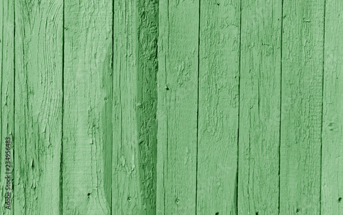 Old wooden wall in green color.