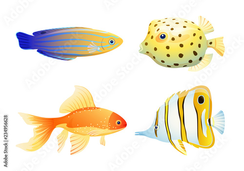 Maritime Poster with Diverse Aquarium Fish Specie