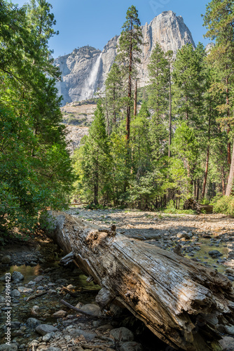 flusslauf mit baumstamm und wald mit wasserfall im hintergrund, Yosemite National Park, Kalifornien, USA