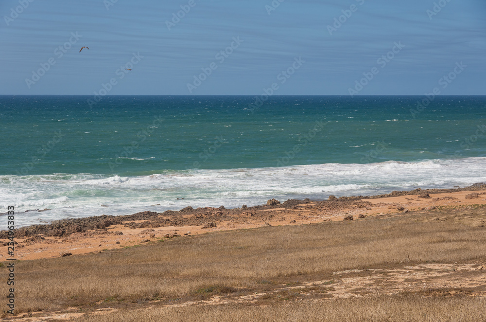 Panoramic view to waves on Atlantic ocean coastline  Morocco