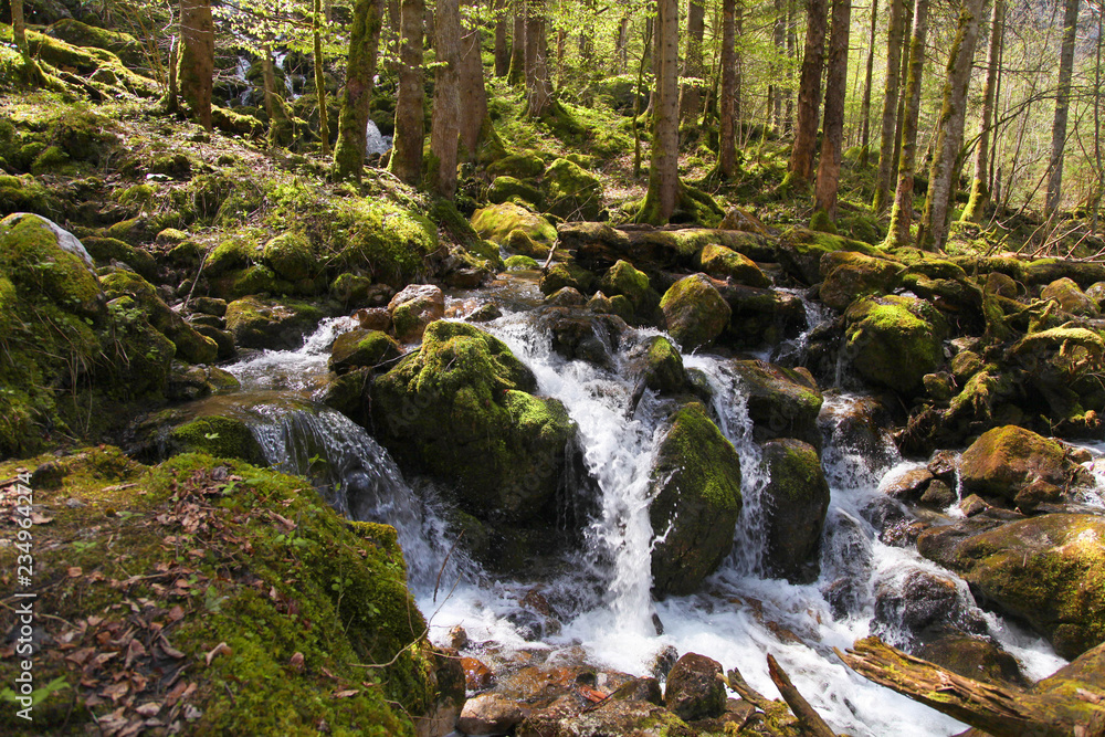 Beautiful waterfall in the forest Beautiful waterfall in the forest