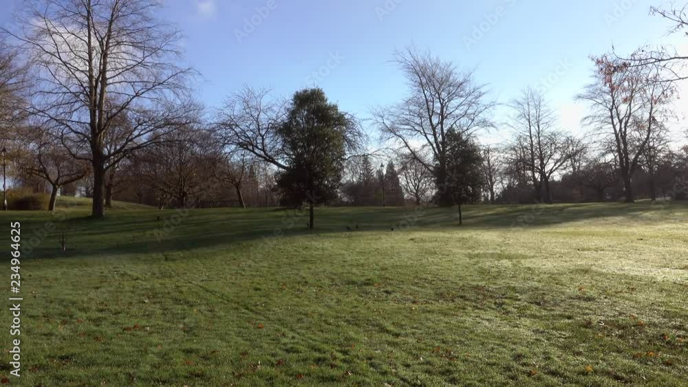 Pittencrieff Park in Dunfermline on an early winter’s day with a bright blue sky. Pittencrieff Park in Dunfermline on an early winter’s day with a bright blue sky.