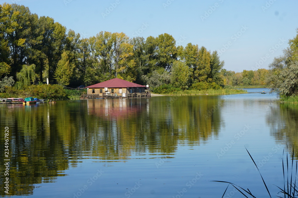 Obraz premium Golden autumn