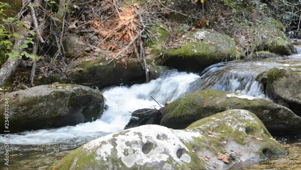 Rapids running through Mossy Rocks