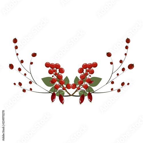 Christmas tree branch decoration frame divider holiday garland.