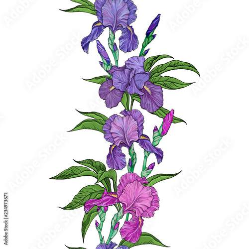 beautiful flowers iris seamless border