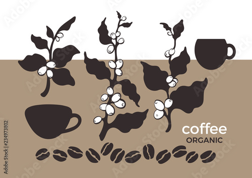 Vector coffee set of tree, branch, leaves, beans