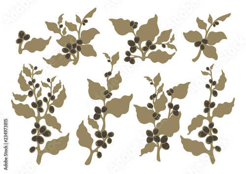 Vector set. Organic plants for vegetarian. Coffee branch