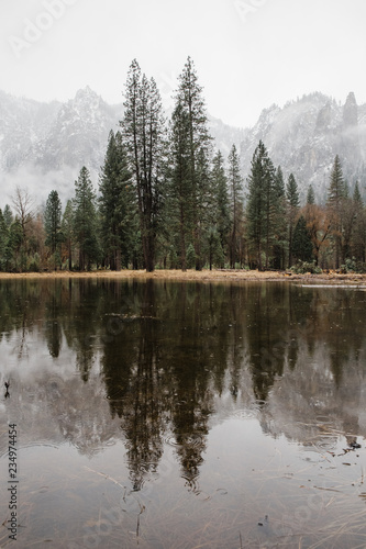 Fototapeta Naklejka Na Ścianę i Meble -  forest reflections on calm river in Yosemite National Park