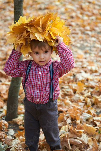 Child boy is posing with yellow fallen leaves on his head. Autumn city park  bright day.