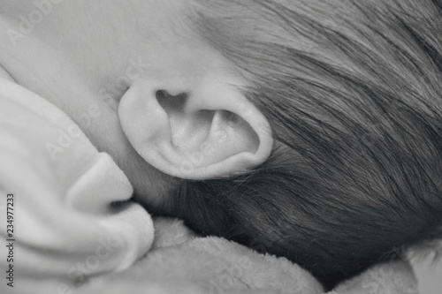 the baby´s ear