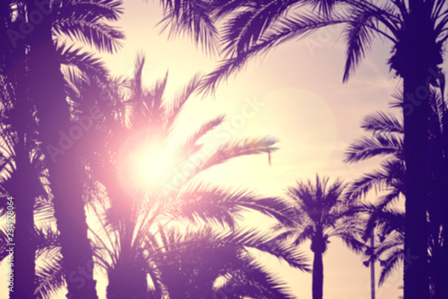 Defocused palm trees against the sunset, lens flare effect.