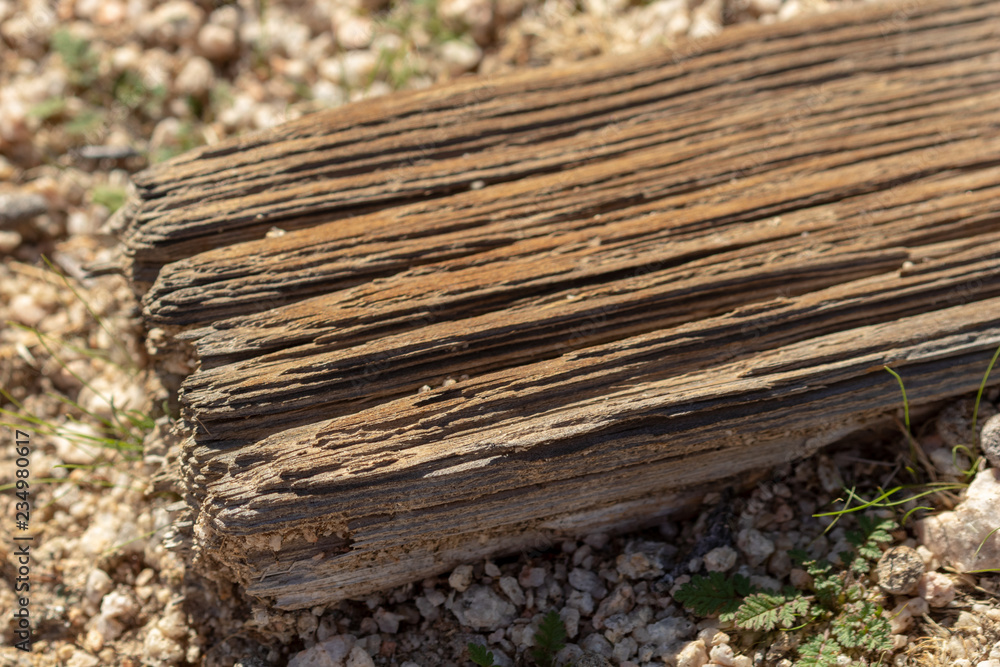 Closeup textured weatherd board on desert sand Closeup textured weatherd board on desert sand