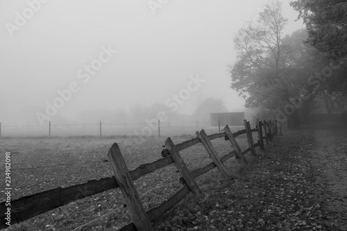 nebel