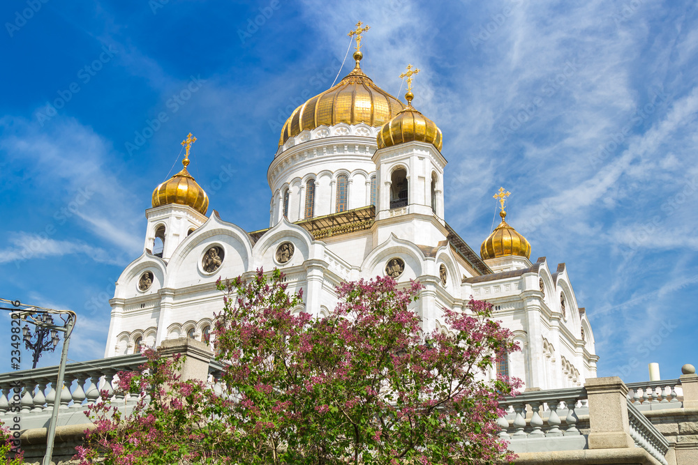 View of the Cathedral of Christ the Saviour in Moscow in spring sunny day. Around lilac trees blossom