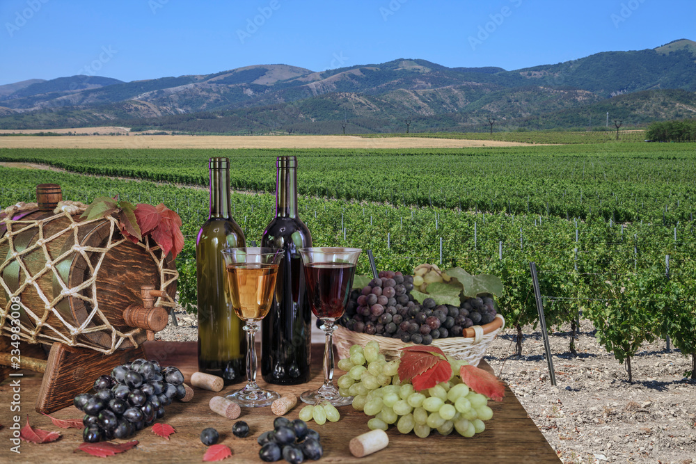 Wine bottle, glass of wine and grapes. white and red wine on an old wooden table, against a background of a vineyards vine