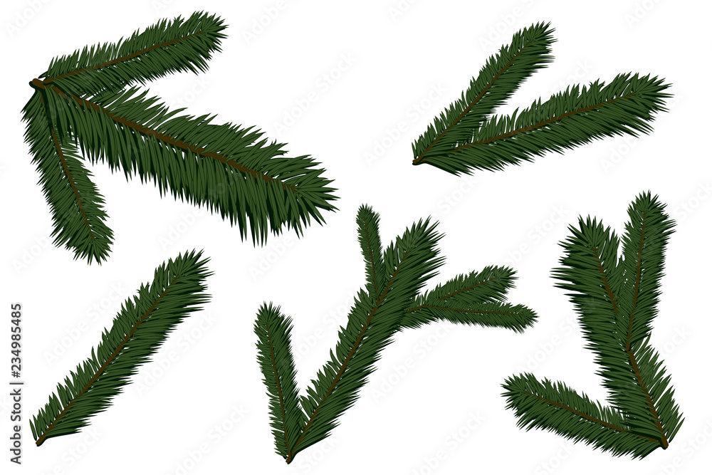 Naklejka premium Set of fir branches. Christmas tree, pine, winter. Merry Christmas and Happy New Year