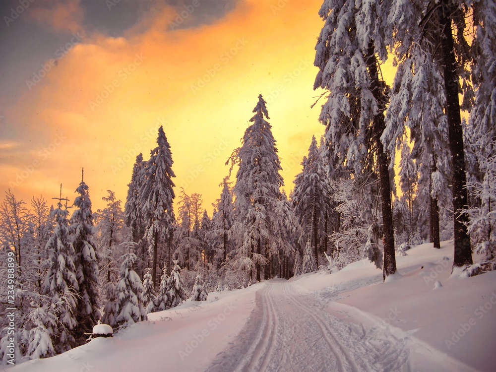 Beautiful winter landscape with the snow covered spruce trees