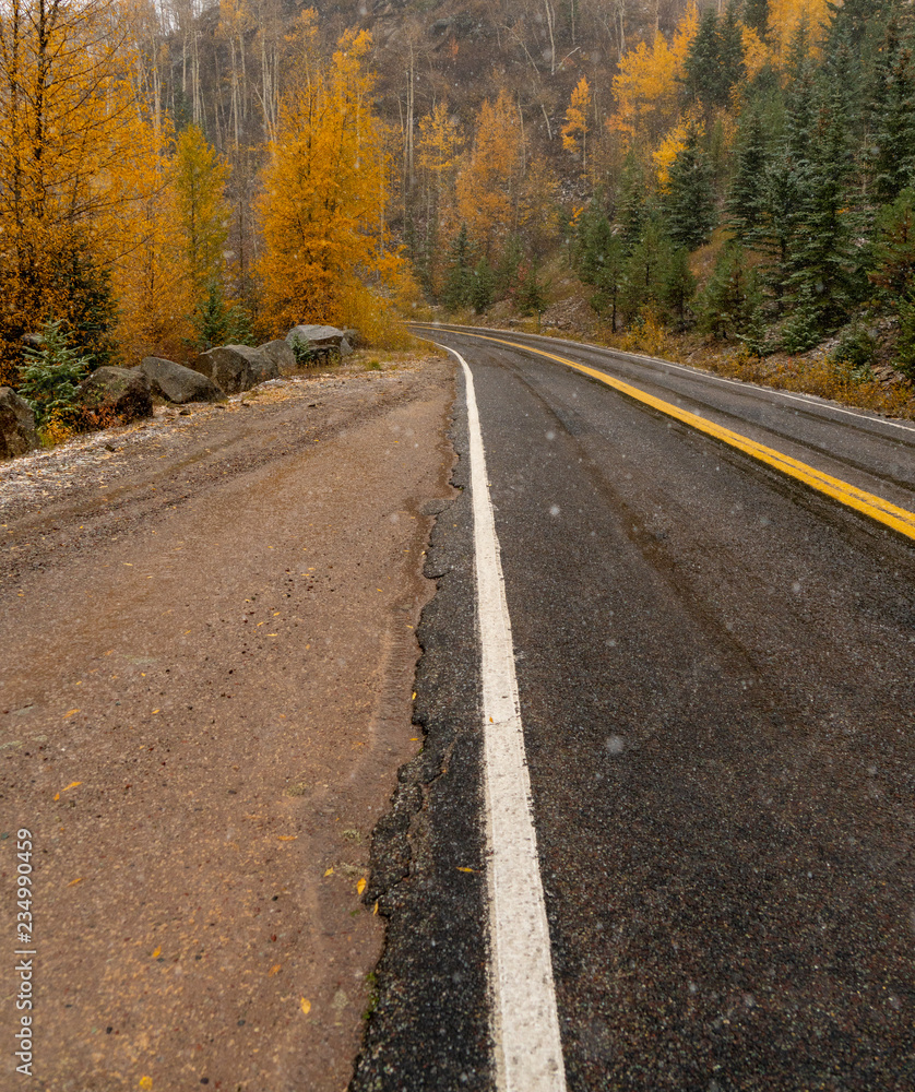 Fototapeta premium A paved mountain road cuts through evergreen forest and yellow and orange aspens of autumn as the moody first snow descends on the mountains