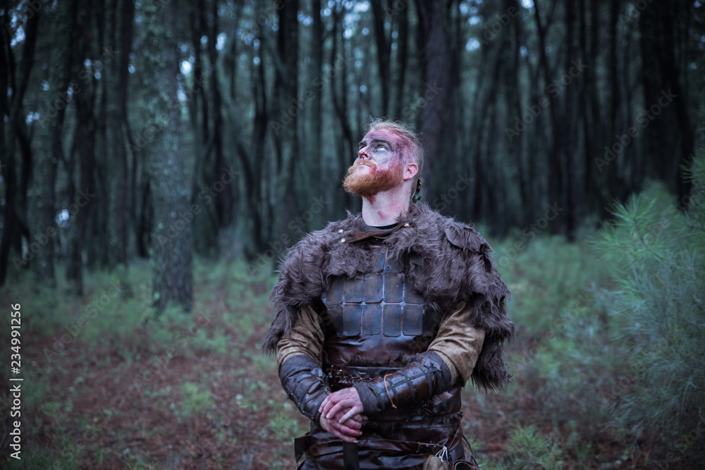 viking with red beard with armor shield and sword in the battle field viking with red beard with armor shield and sword in the battle field