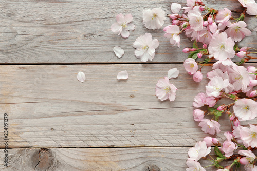 Sakura flowers with petals on wooden background 