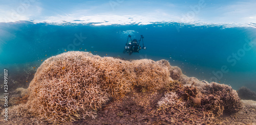 Photography Bleaching coral in Australia, 2016