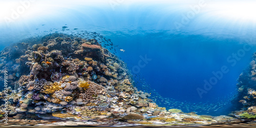 360 of colorful reef