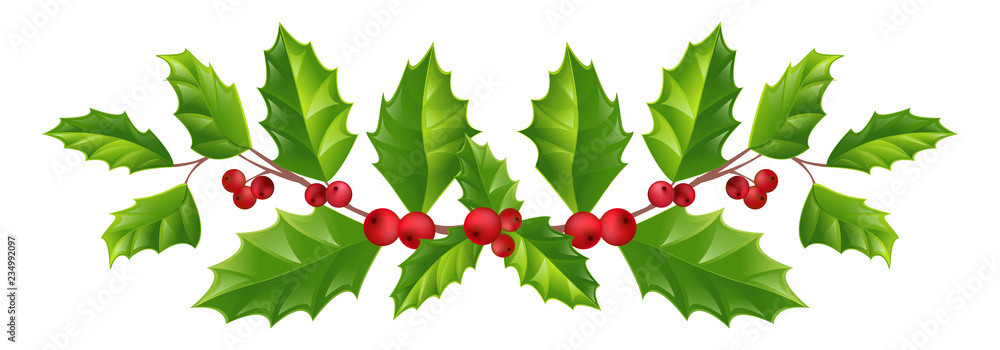 garland from branches of holly with red berries. Christmas decorations