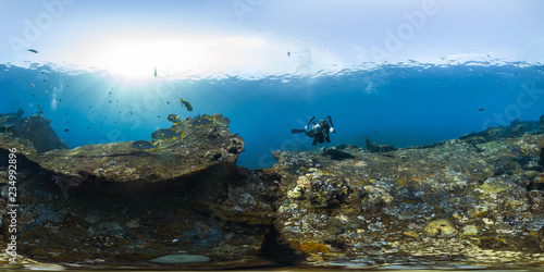 Canvas Print 360 of diver on coral reef