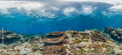 Panorama photo of a healthy coral reef in American Samoa 