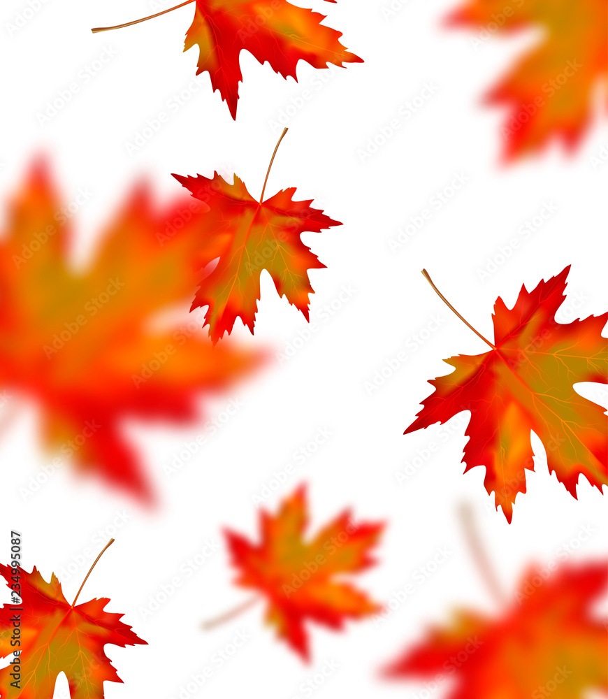 Bright orange red blurred falling maple leaves isolated on white background. Seasonal banner or holiday vintage decor. Realistic Vector illustration Bright orange red blurred falling maple leaves isolated on white background. Seasonal banner or holiday vintage decor. Realistic Vector illustration