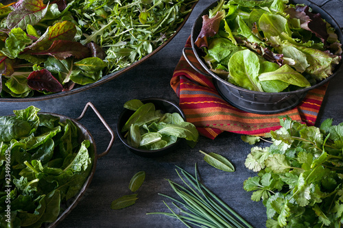 Assorted bowls filled with a variety of leafy greens including lettuce, chard, arugula, and spinach.  