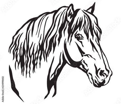 Decorative portrait of horse vector illustration 9