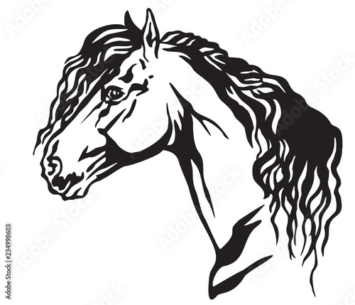 Decorative portrait of horse vector illustration 10