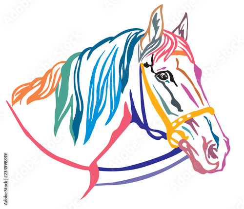 Colorful decorative portrait of horse vector illustration 5