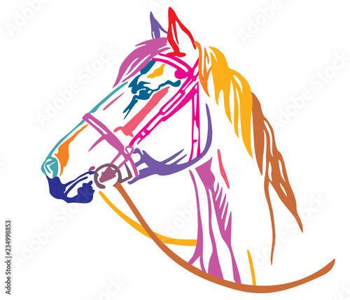 Colorful decorative portrait of horse vector illustration 6