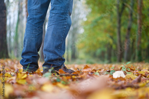 Legs of one person with jeans and boots standing on the forest.