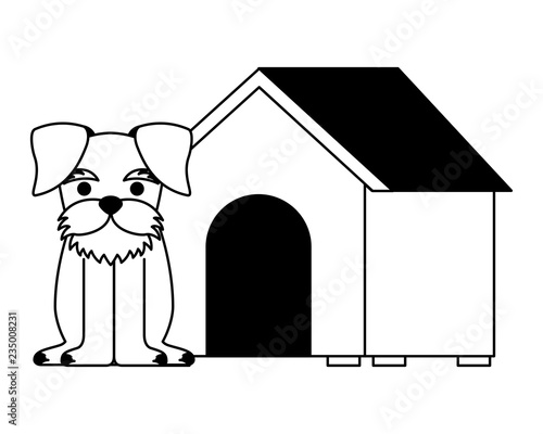 cute dog pet and house