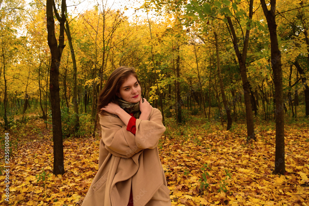 Girl in coat on autumn Park background. Girl in coat on autumn Park background.
