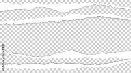 vector torn paper with ripped edges. Template mockup design 