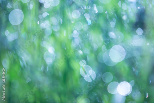 green blurred backdrop of nature, circle light wallpaper, white bokeh background