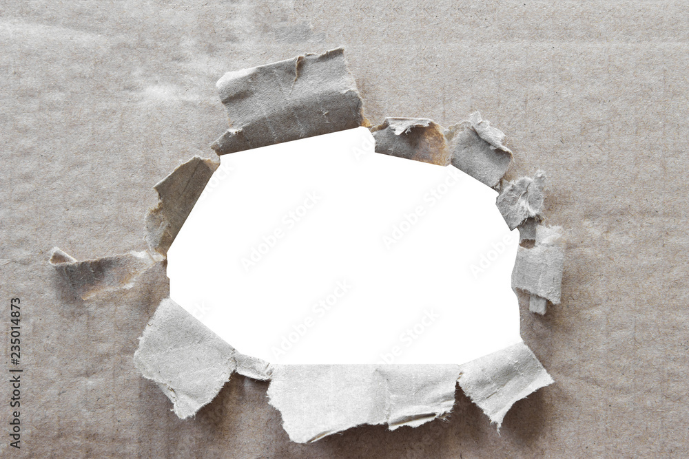 Brown corrugated texture paper torn on white background. rip of ...