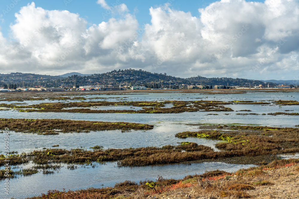 View at Bair Island, Don Edwards San Francisco National Wildlife Refuge, California